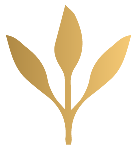 Gold icon